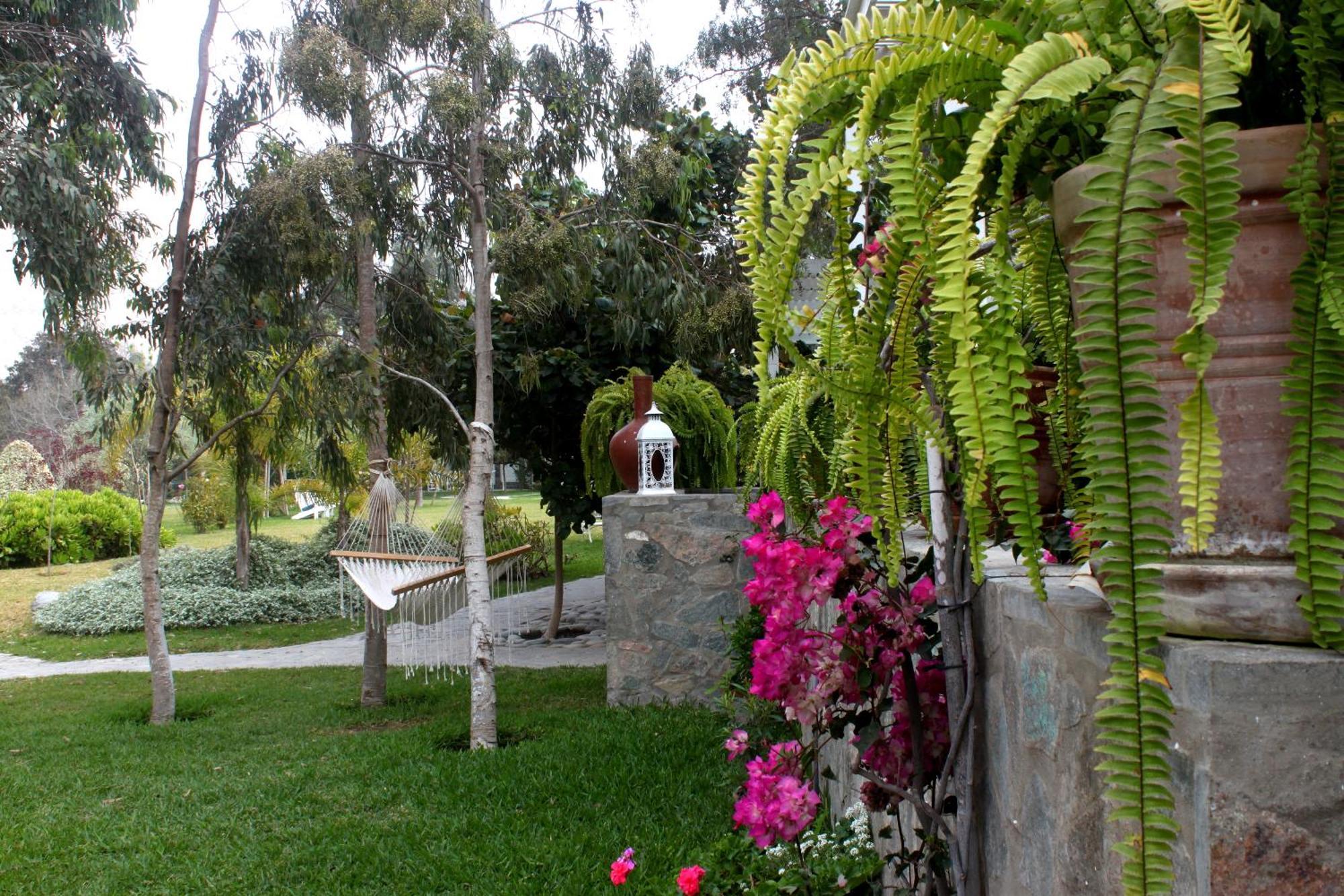 Hotel Los Palomos Lunahuaná Esterno foto
