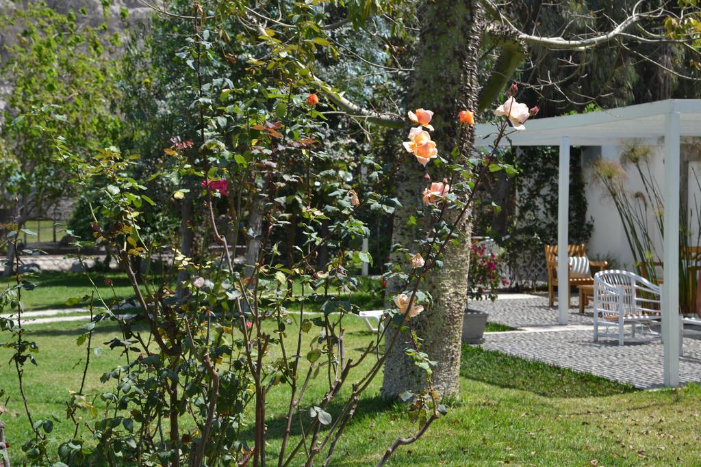 Hotel Los Palomos Lunahuaná Esterno foto